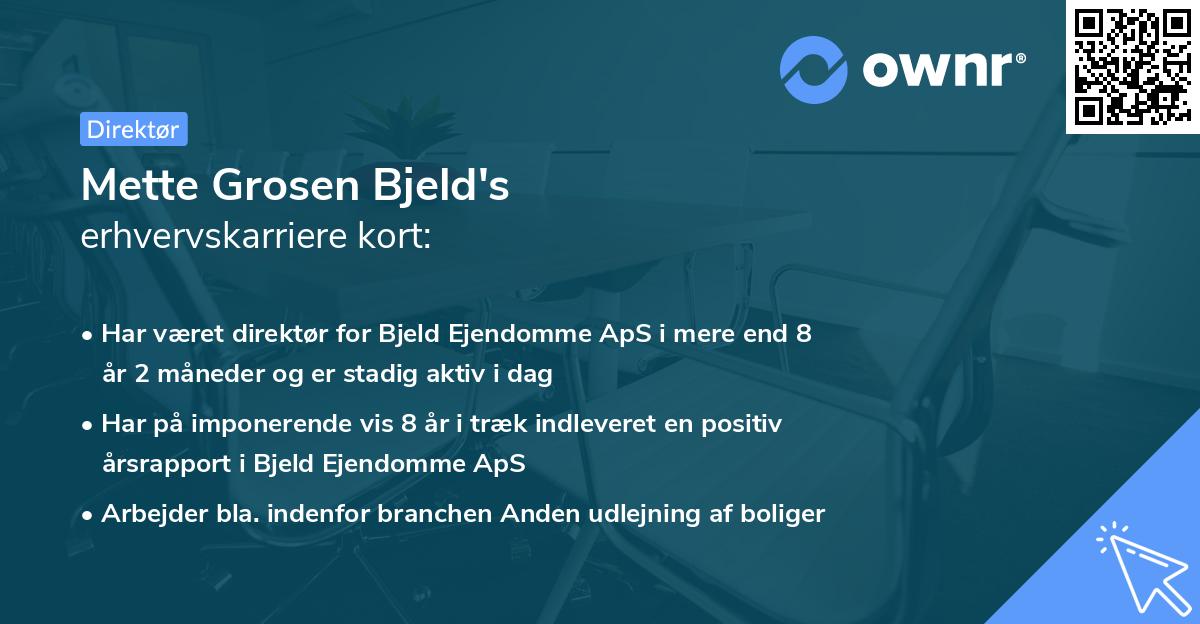 Mette Grosen Bjeld's erhvervskarriere kort