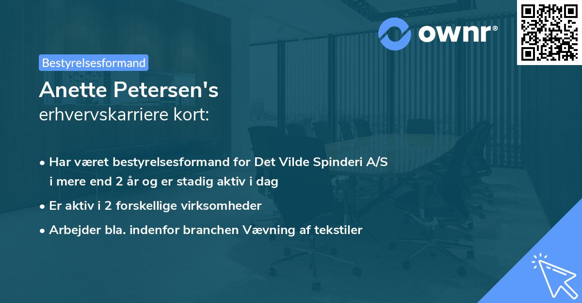 Anette Petersen's erhvervskarriere kort