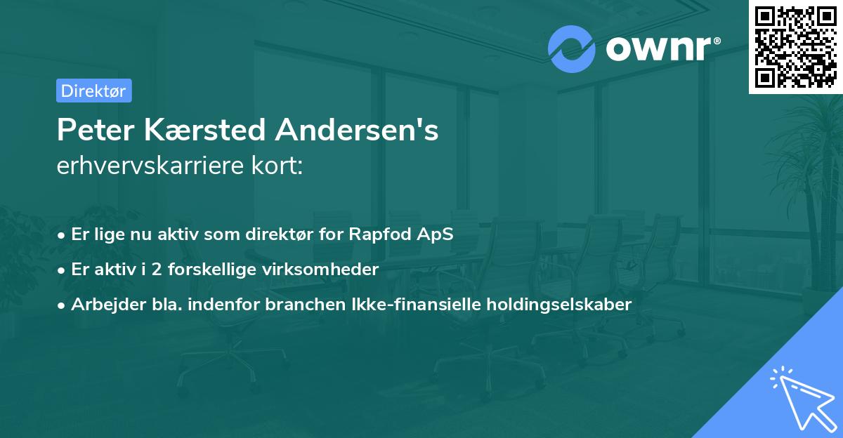 Peter Kærsted Andersen's erhvervskarriere kort