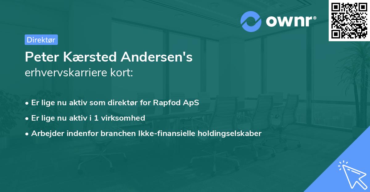 Peter Kærsted Andersen's erhvervskarriere kort