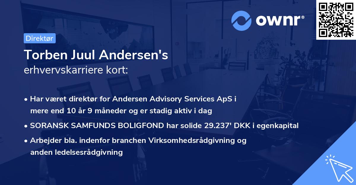 Torben Juul Andersen's erhvervskarriere kort