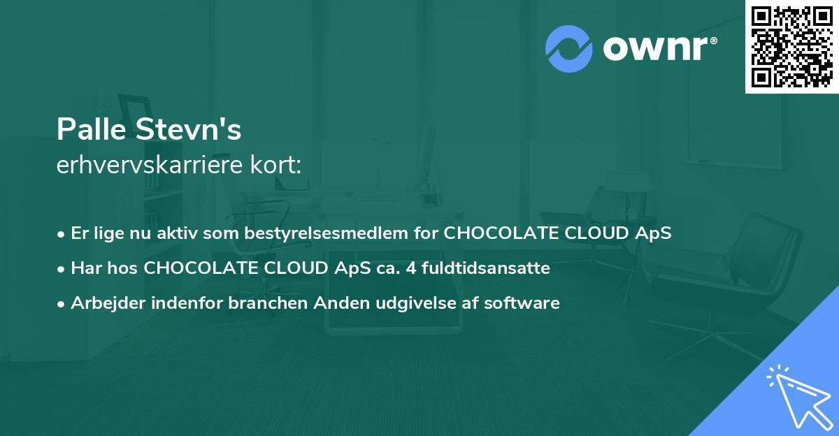 Palle Stevn's erhvervskarriere kort