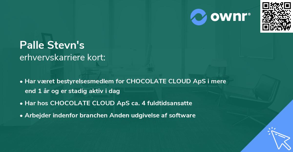 Palle Stevn's erhvervskarriere kort