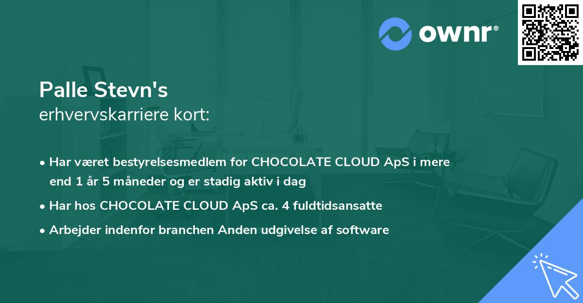 Palle Stevn's erhvervskarriere kort