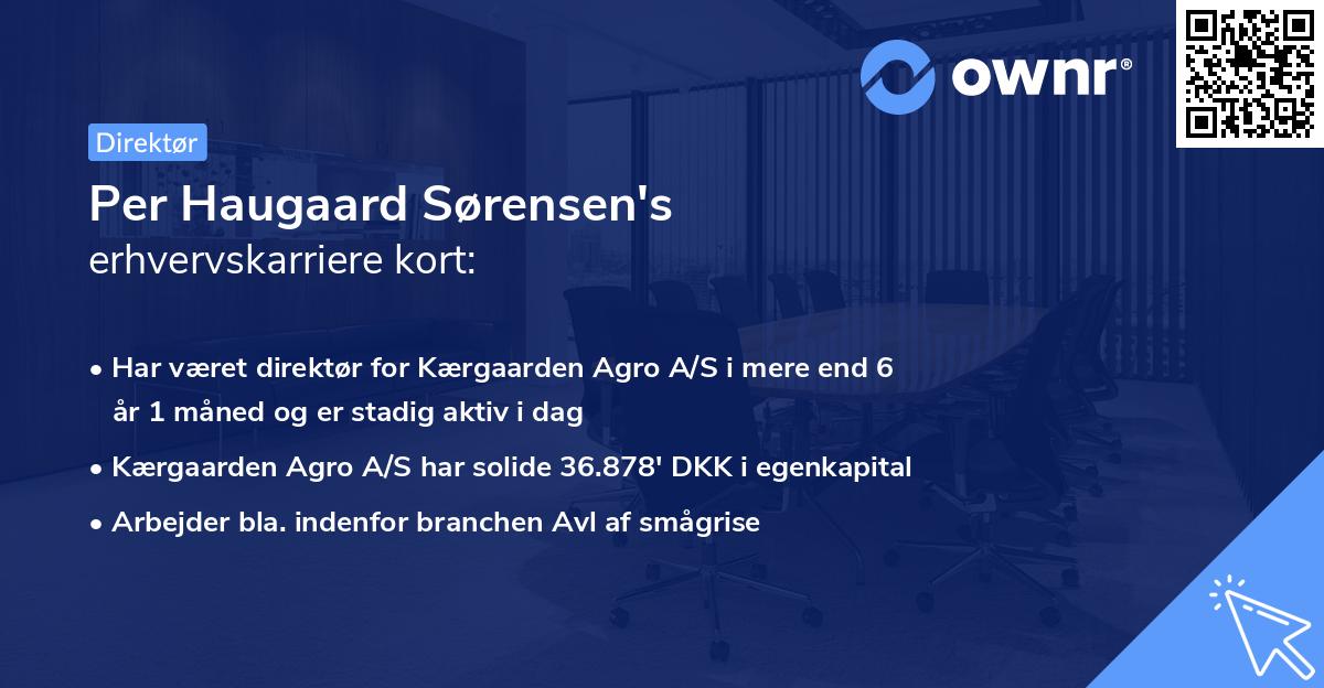 Per Haugaard Sørensen's erhvervskarriere kort