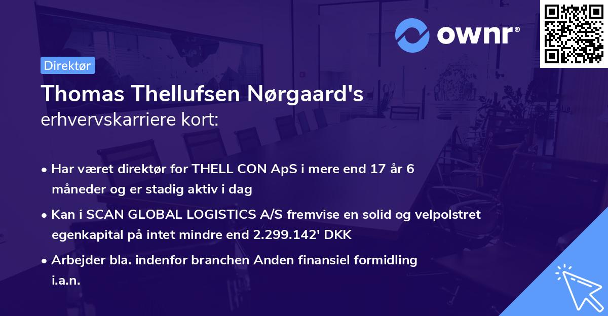 Thomas Thellufsen Nørgaard's erhvervskarriere kort
