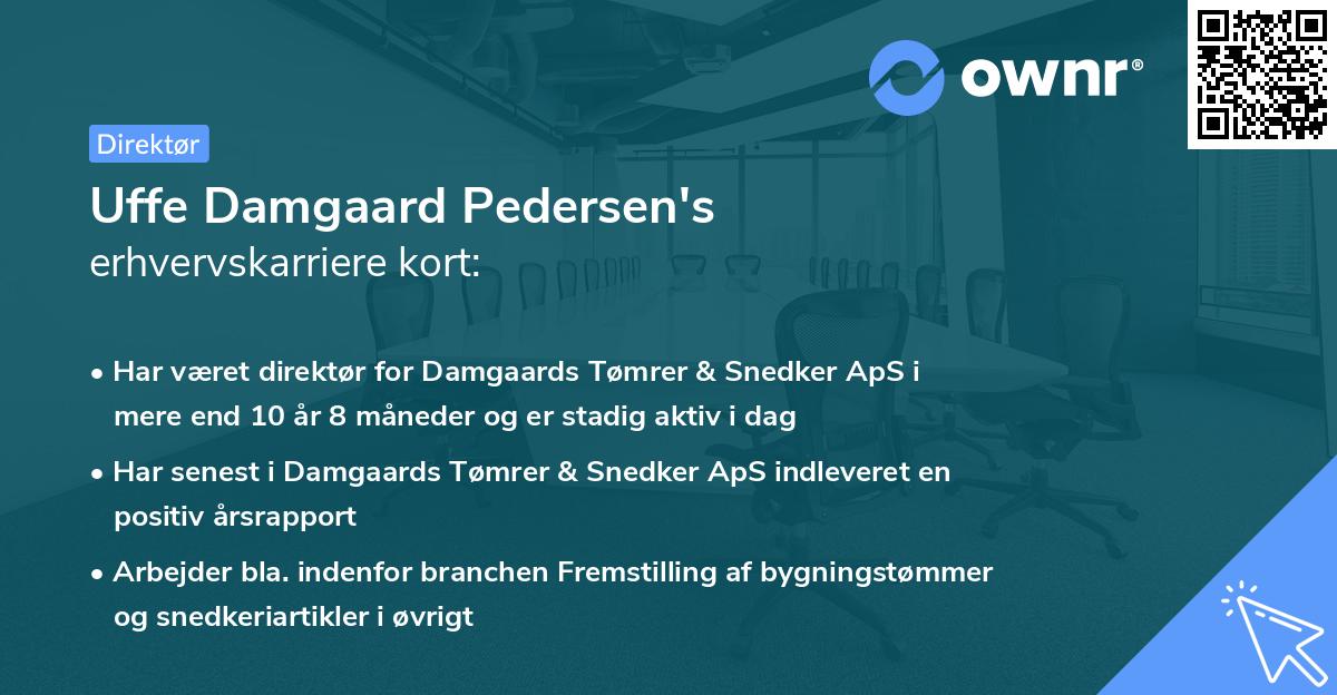 Uffe Damgaard Pedersen's erhvervskarriere kort