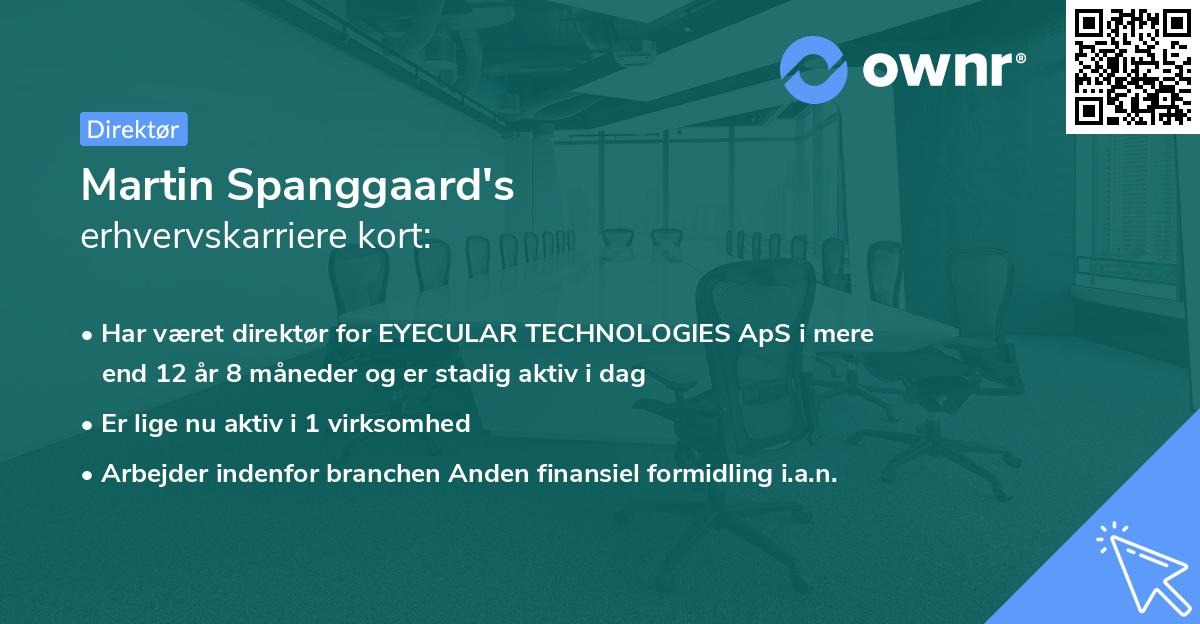 Martin Spanggaard's erhvervskarriere kort