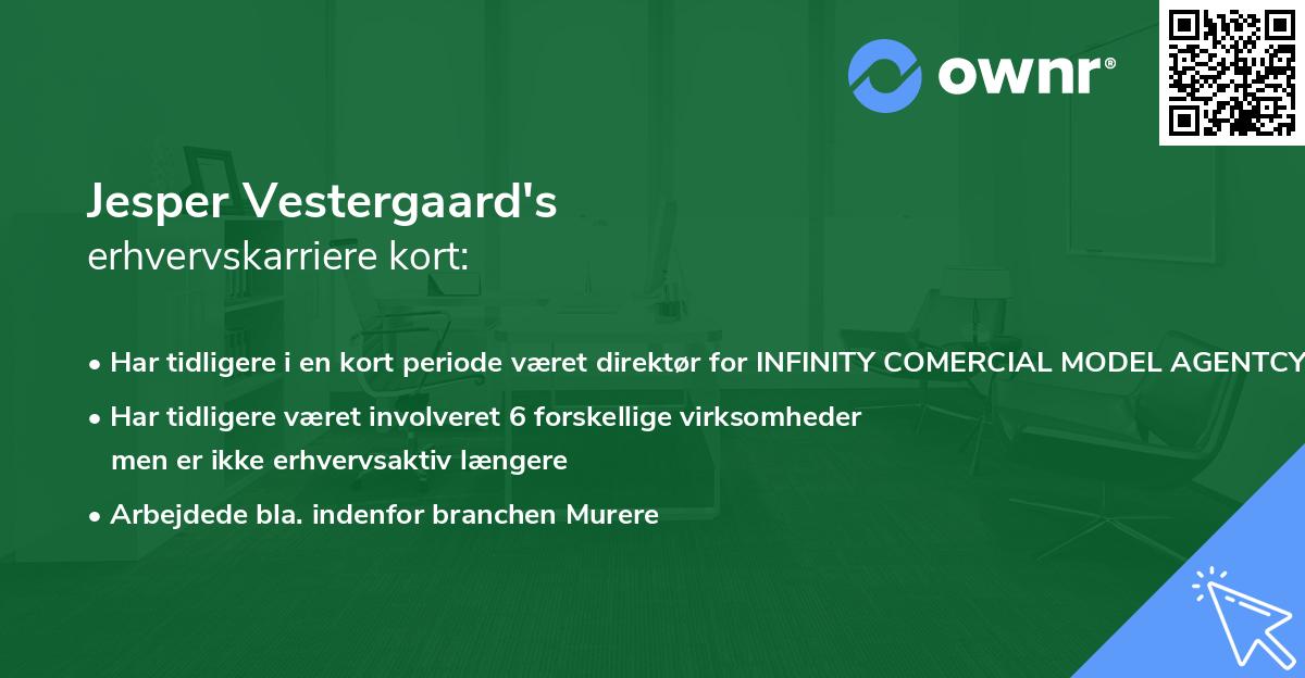 Jesper Vestergaard's erhvervskarriere kort
