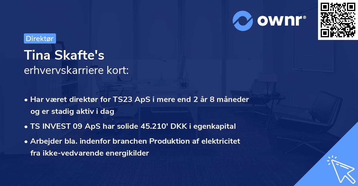 Tina Skafte's erhvervskarriere kort