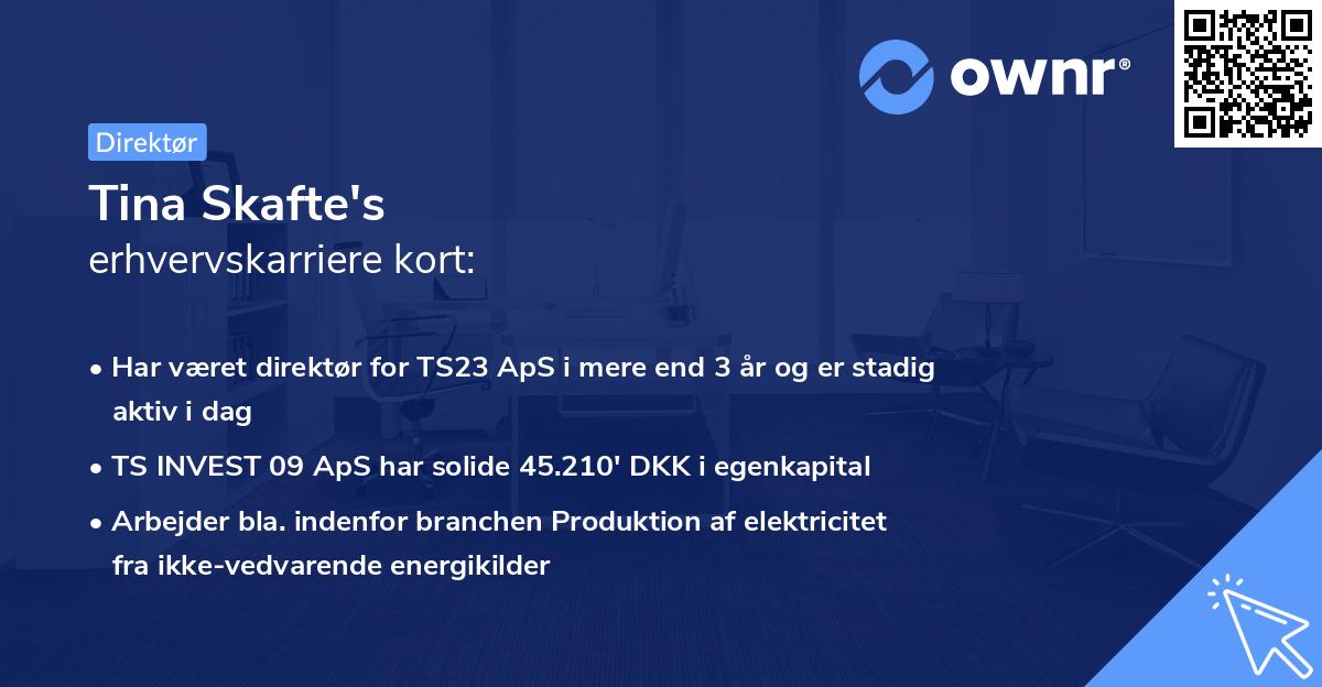 Tina Skafte's erhvervskarriere kort