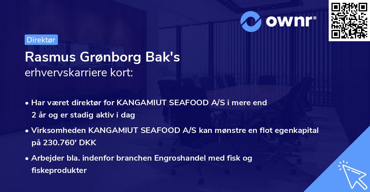 Rasmus Grønborg Bak's erhvervskarriere kort