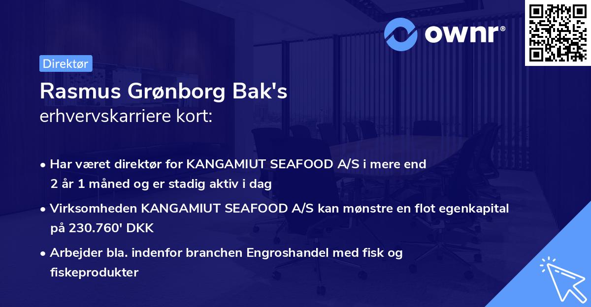 Rasmus Grønborg Bak's erhvervskarriere kort