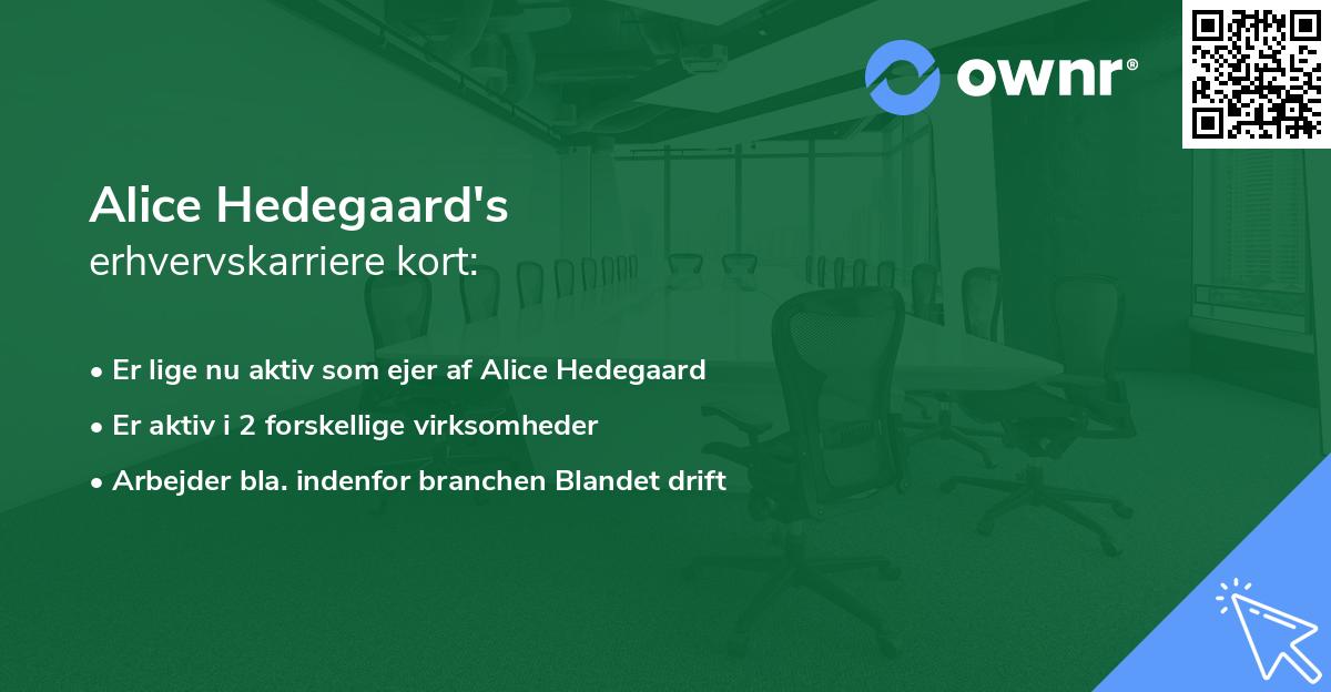 Alice Hedegaard's erhvervskarriere kort