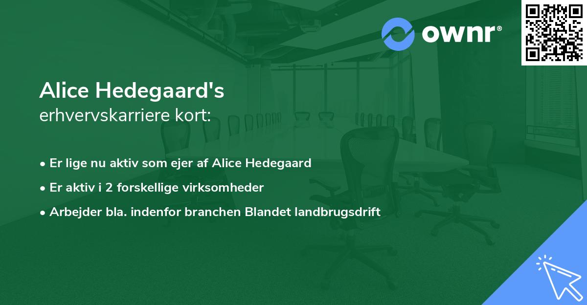 Alice Hedegaard's erhvervskarriere kort