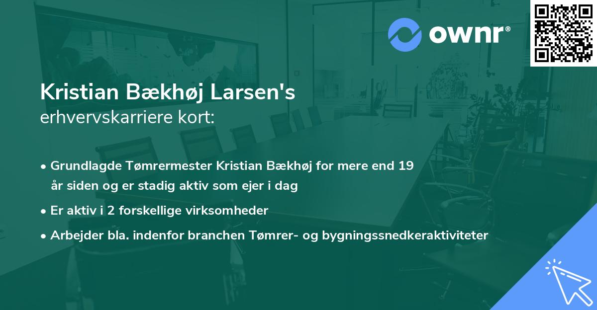 Kristian Bækhøj Larsen's erhvervskarriere kort