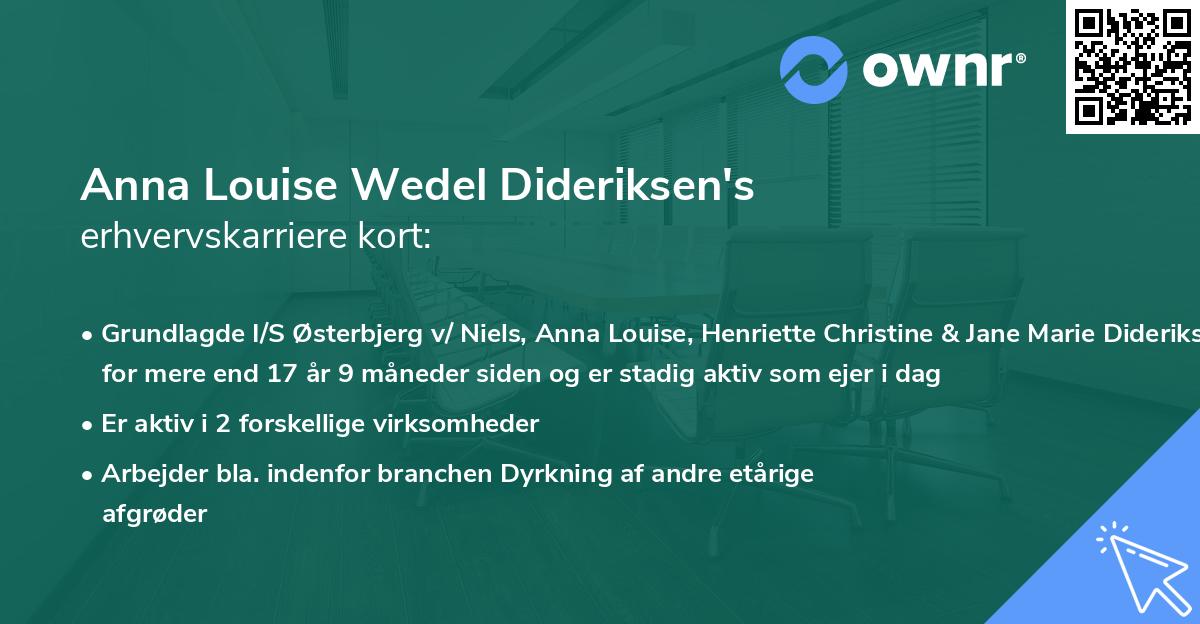 Anna Louise Wedel Dideriksen's erhvervskarriere kort