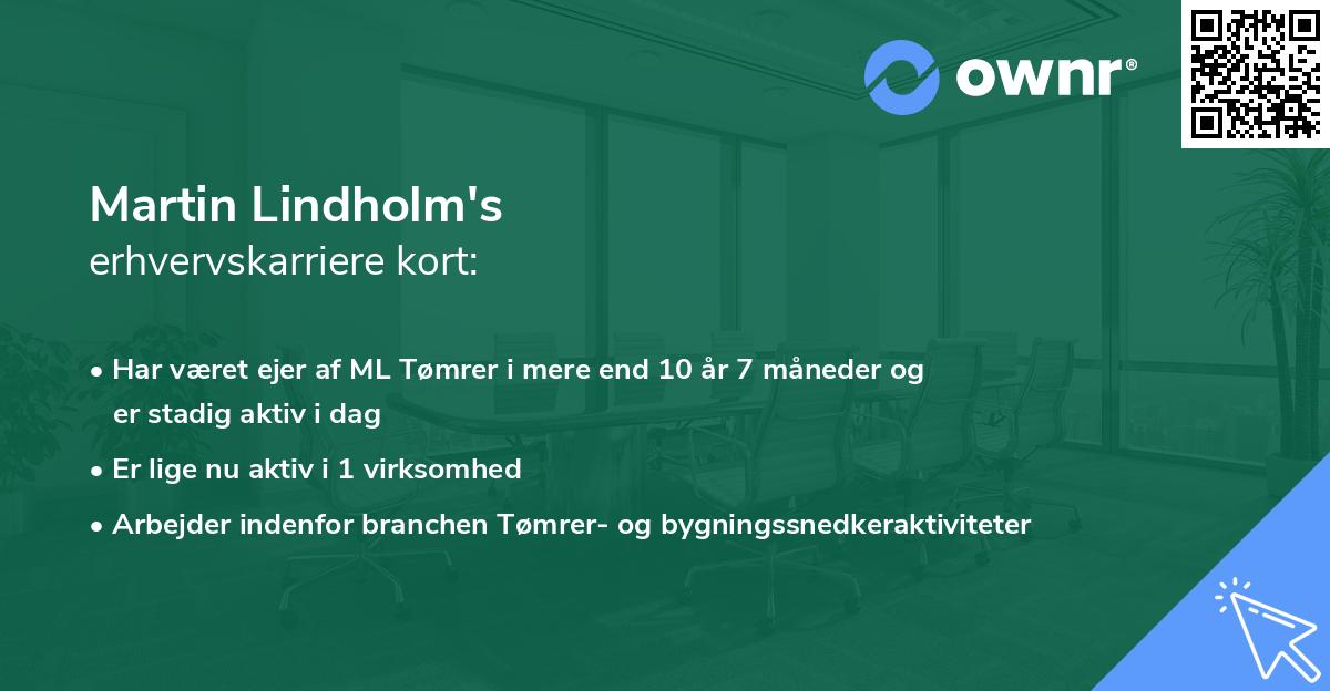 Martin Lindholm's erhvervskarriere kort