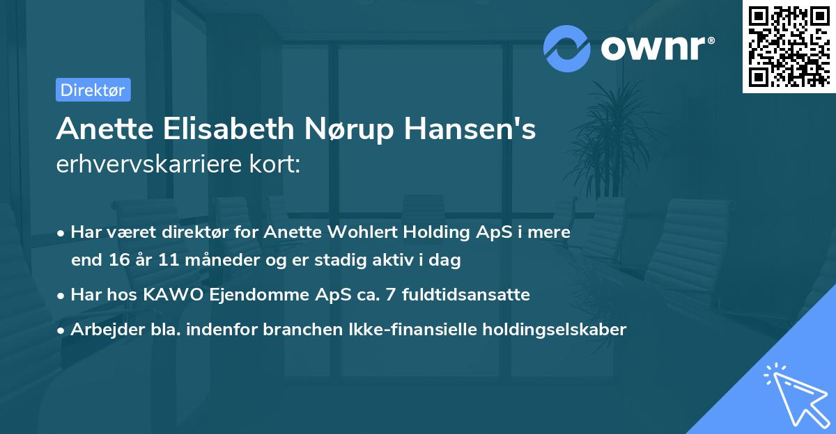 Anette Elisabeth Nørup Hansen's erhvervskarriere kort