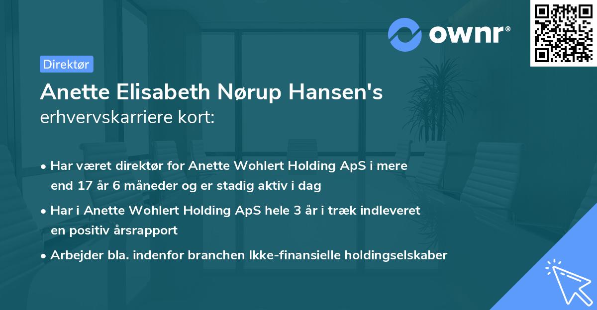 Anette Elisabeth Nørup Hansen's erhvervskarriere kort