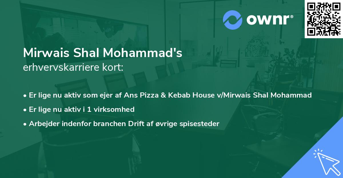 Mirwais Shal Mohammad's erhvervskarriere kort