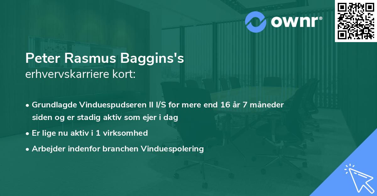 Peter Rasmus Baggins's erhvervskarriere kort