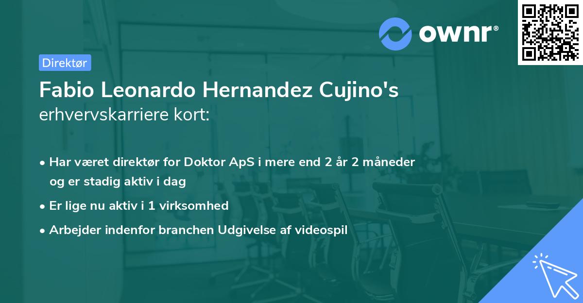 Fabio Leonardo Hernandez Cujino's erhvervskarriere kort