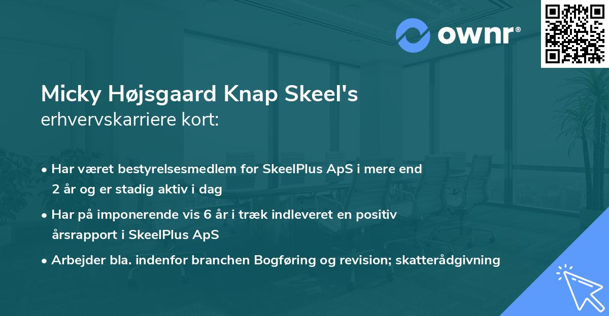 Micky Højsgaard Knap Skeel's erhvervskarriere kort