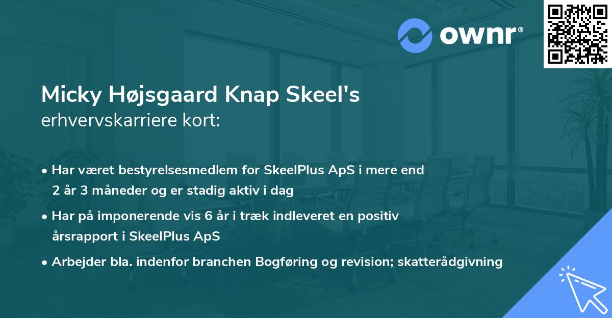 Micky Højsgaard Knap Skeel's erhvervskarriere kort