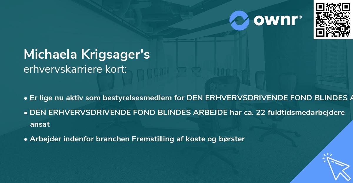 Michaela Krigsager's erhvervskarriere kort