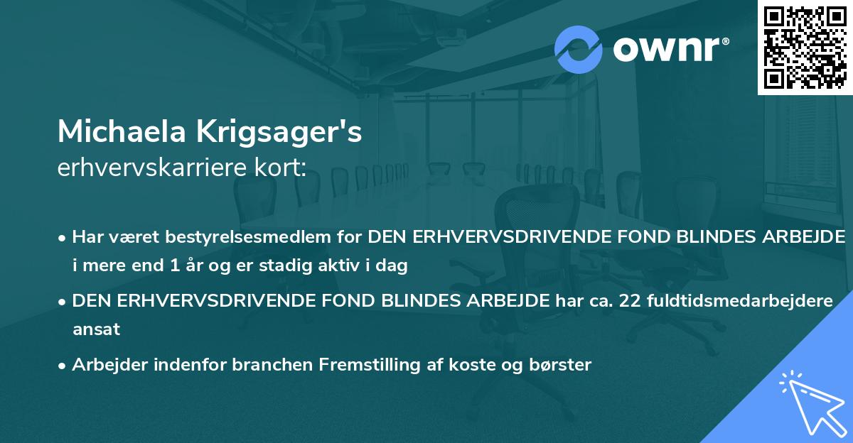 Michaela Krigsager's erhvervskarriere kort