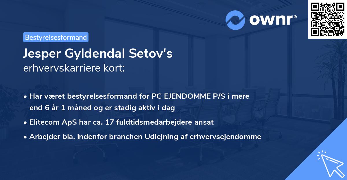 Jesper Gyldendal Setov's erhvervskarriere kort