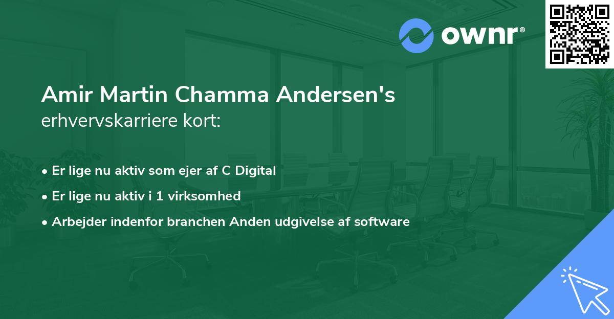 Amir Martin Chamma Andersen's erhvervskarriere kort