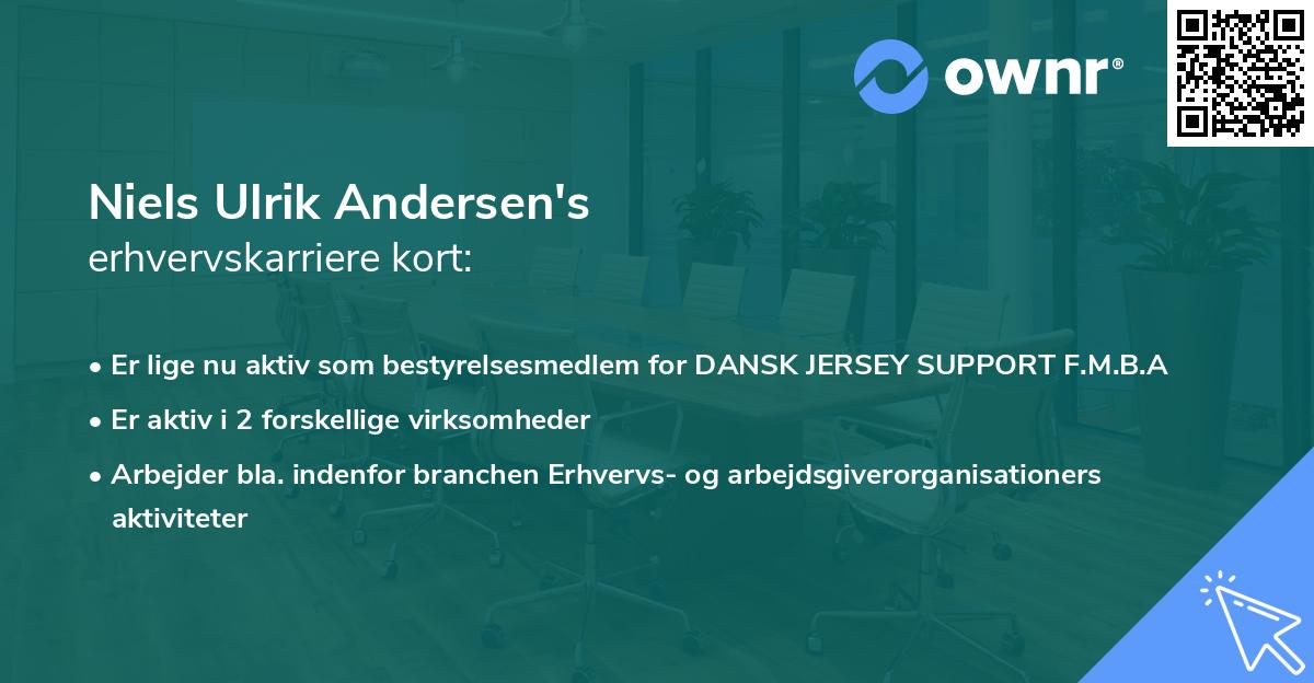Niels Ulrik Andersen's erhvervskarriere kort