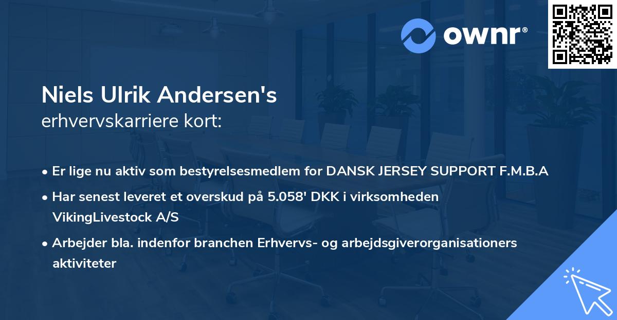 Niels Ulrik Andersen's erhvervskarriere kort