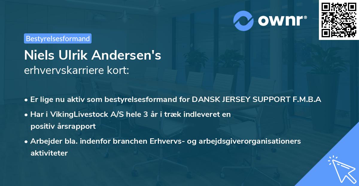 Niels Ulrik Andersen's erhvervskarriere kort