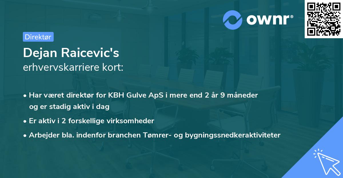 Dejan Raicevic's erhvervskarriere kort