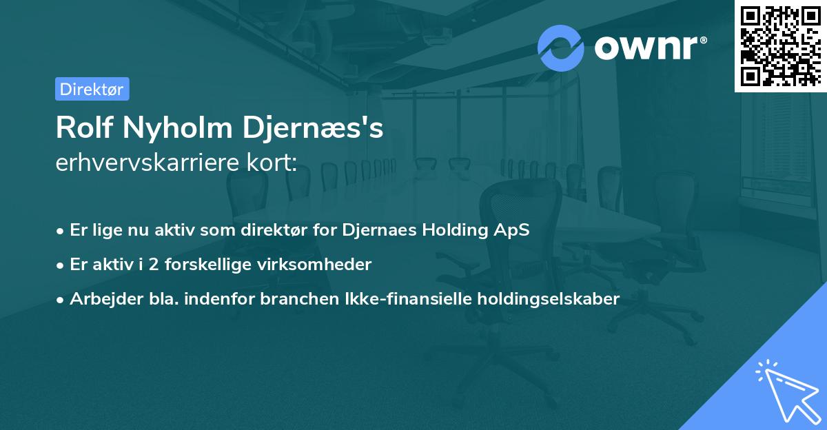 Rolf Nyholm Djernæs's erhvervskarriere kort