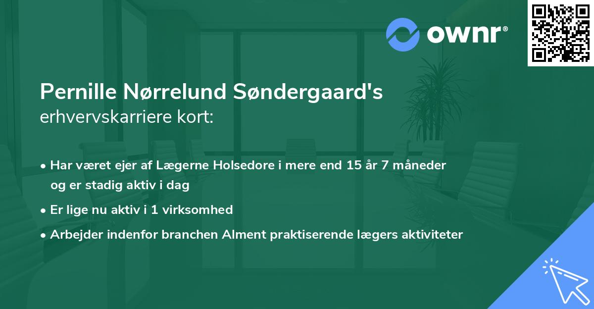 Pernille Nørrelund Søndergaard's erhvervskarriere kort