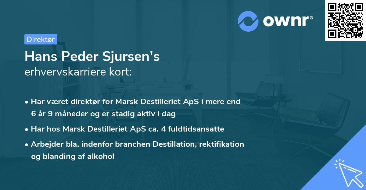 Hans Peder Sjursen's erhvervskarriere kort