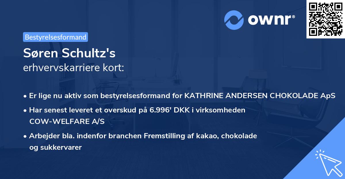 Søren Schultz's erhvervskarriere kort