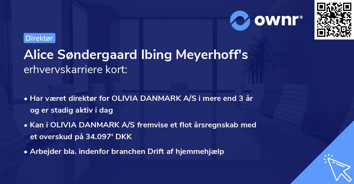 Alice Søndergaard Ibing Meyerhoff's erhvervskarriere kort