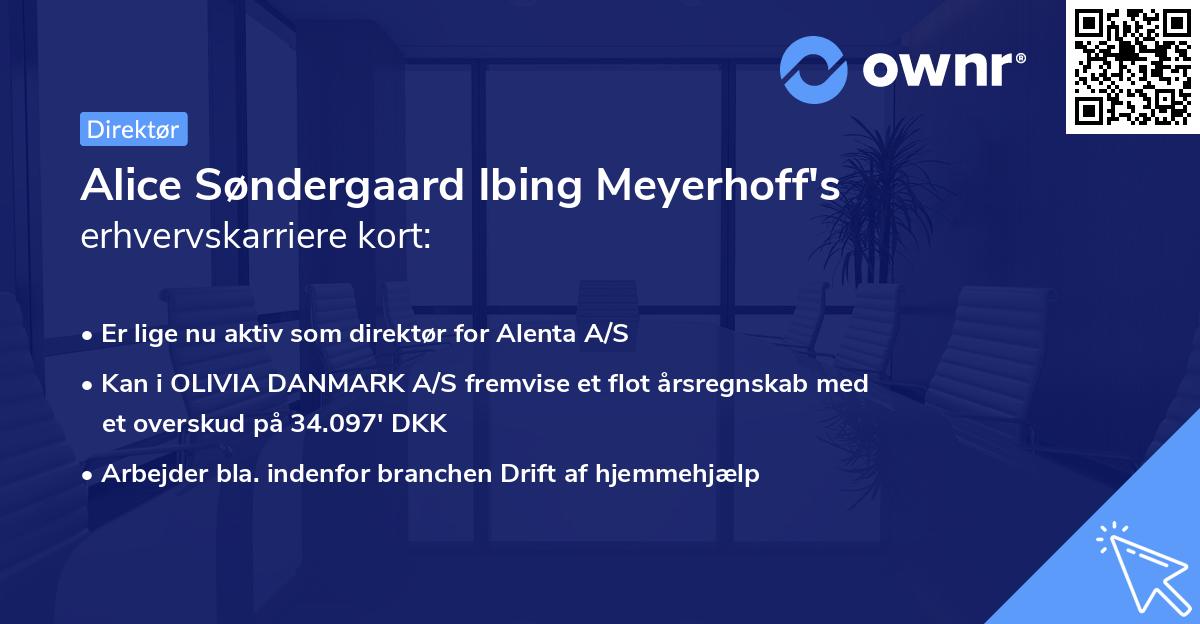 Alice Søndergaard Ibing Meyerhoff's erhvervskarriere kort
