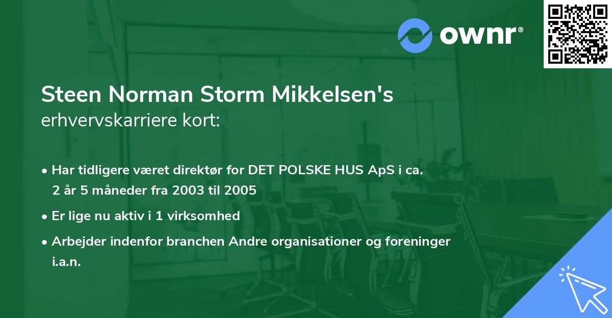Steen Norman Storm Mikkelsen's erhvervskarriere kort