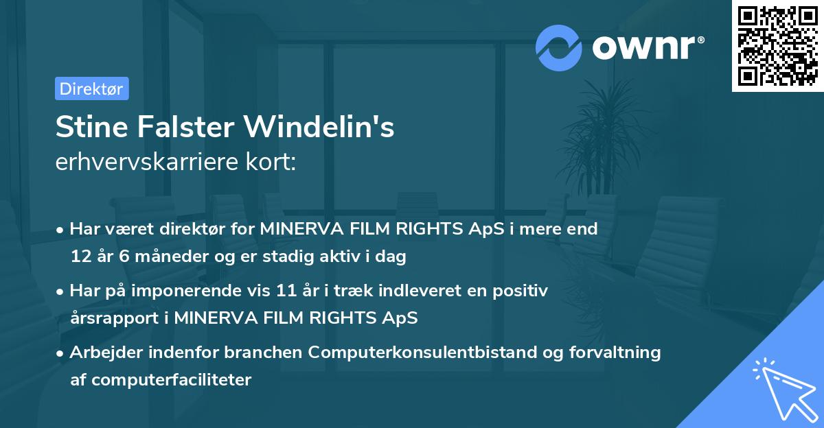 Stine Falster Windelin's erhvervskarriere kort