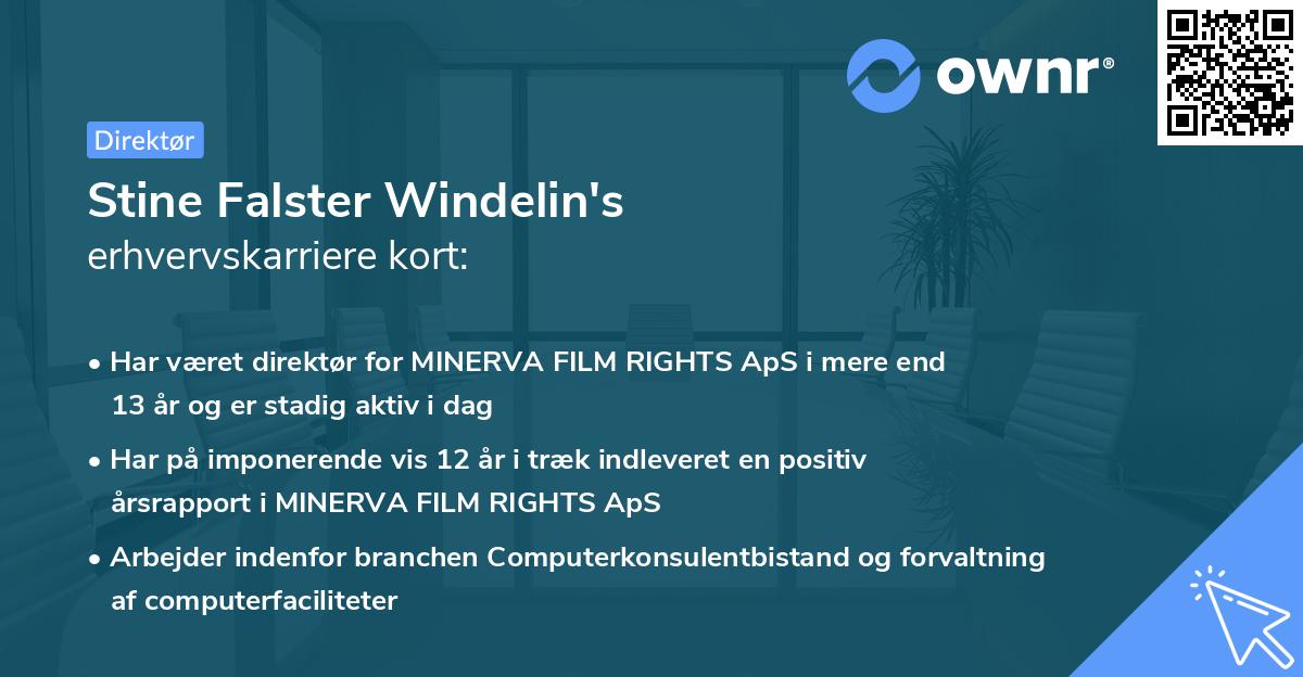 Stine Falster Windelin's erhvervskarriere kort