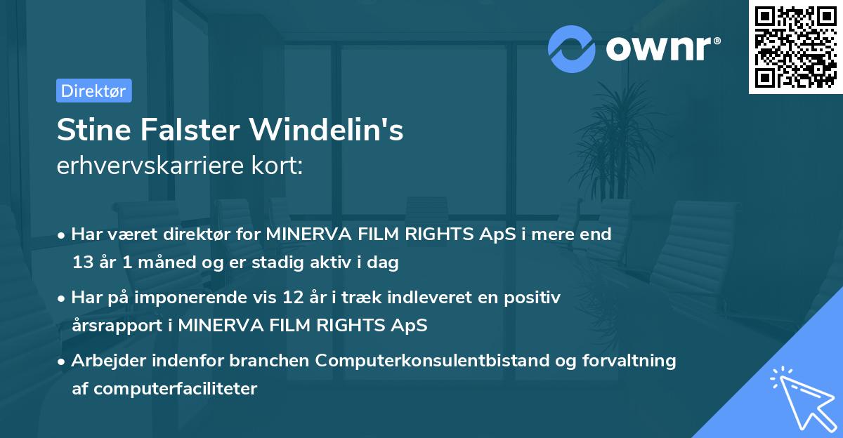 Stine Falster Windelin's erhvervskarriere kort
