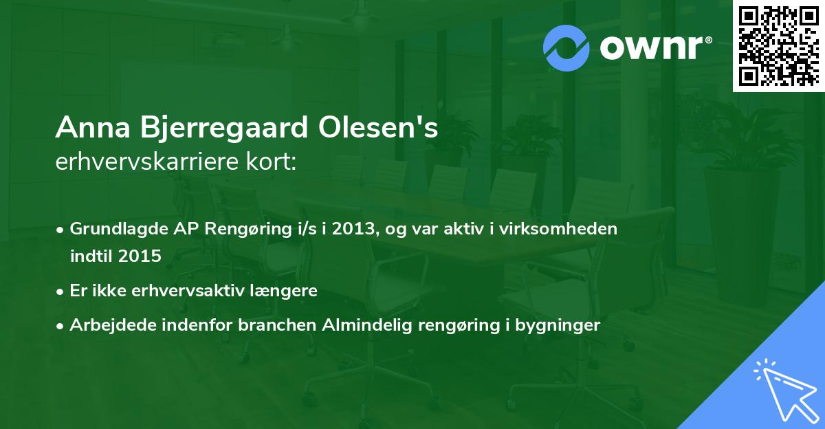 Anna Bjerregaard Olesen's erhvervskarriere kort