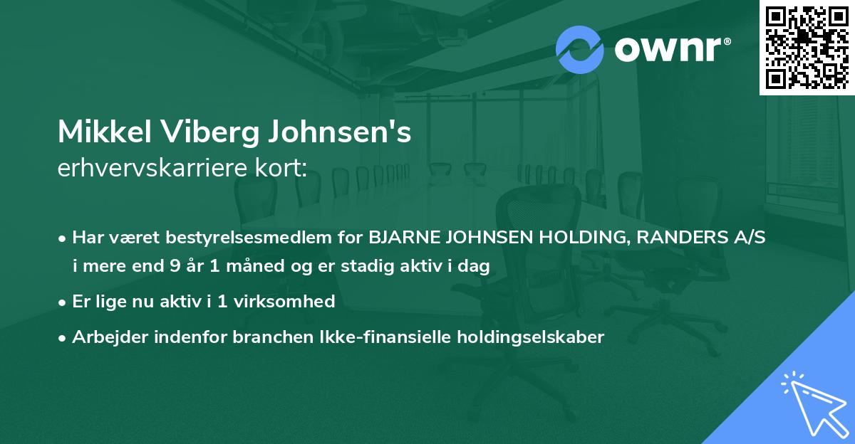 Mikkel Viberg Johnsen's erhvervskarriere kort