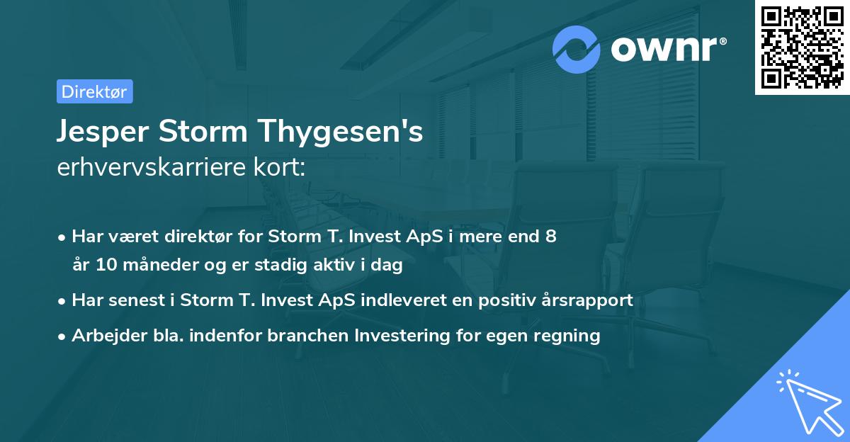 Jesper Storm Thygesen's erhvervskarriere kort